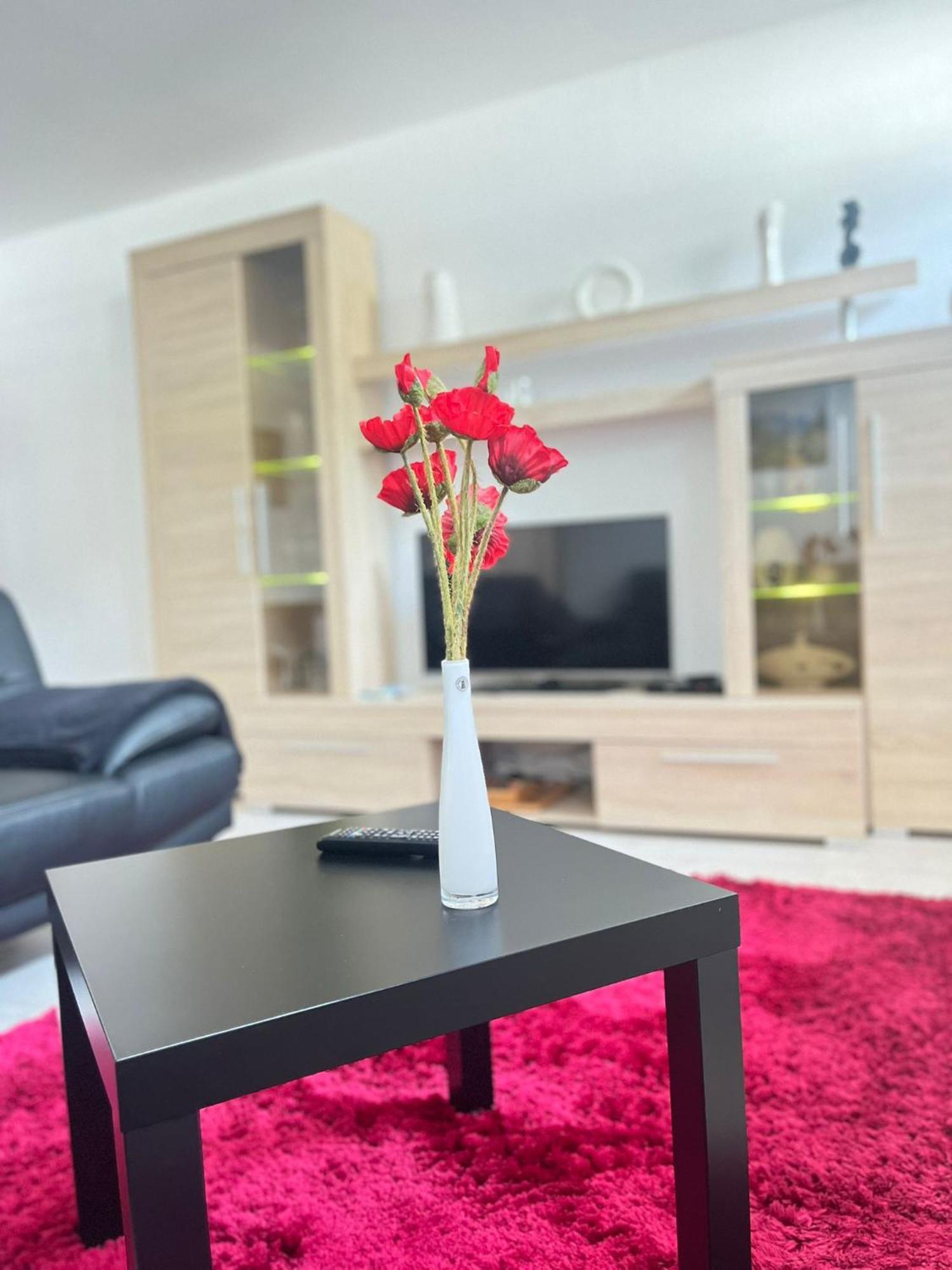Myhome Einsiedel An Der Zwoenitz 1 ケムニッツ エクステリア 写真